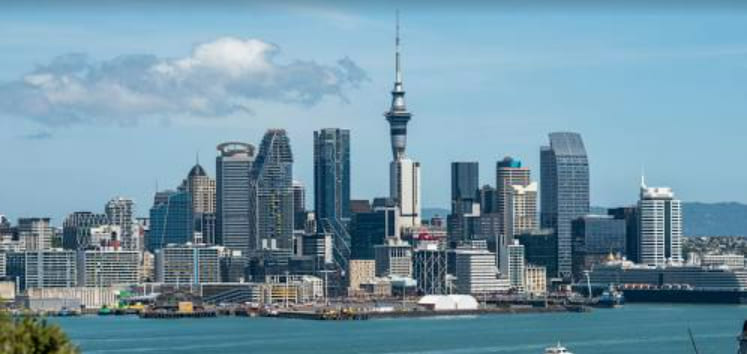 Sugar Dating in New Zealand