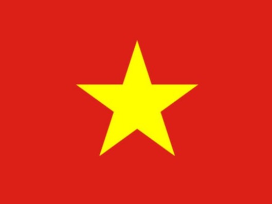 Vietnamese Business Woman